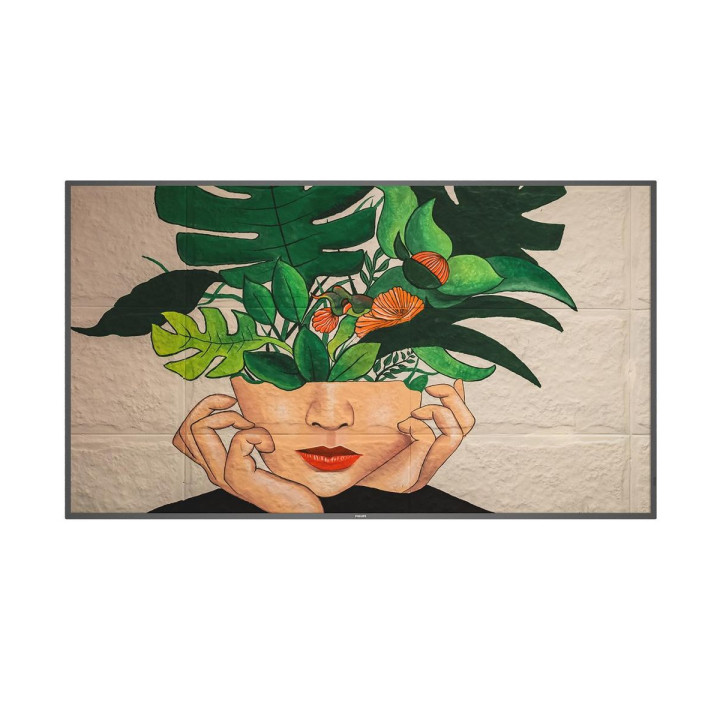 PHILIPS 55  D-LINE  UHD  247